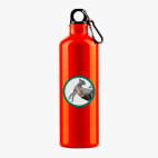 Металлическая бутылка 700 мл UV-DTF