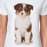 Щенки и собаки