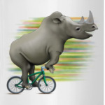 Носорог на велосипеде