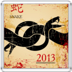 Змея - символ 2013 года