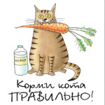 Корми кота правильно