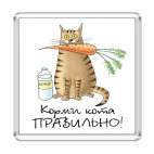 Магнит 6.5 x 6.5 см Корми кота правильно