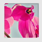 Яркий цветок