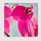 Яркий цветок