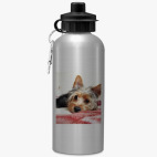 Спортивная бутылка