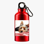 Металлическая бутылка 400 мл UV-DTF