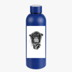 Термобутылка