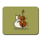 Пятничный Котик №24