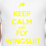 wingsuit skydiving прыжки пара