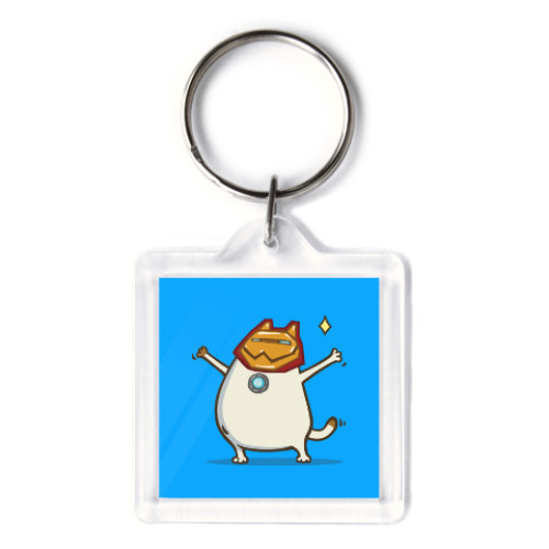 Брелок с принтом Айронкот — Пятничный Котик №32