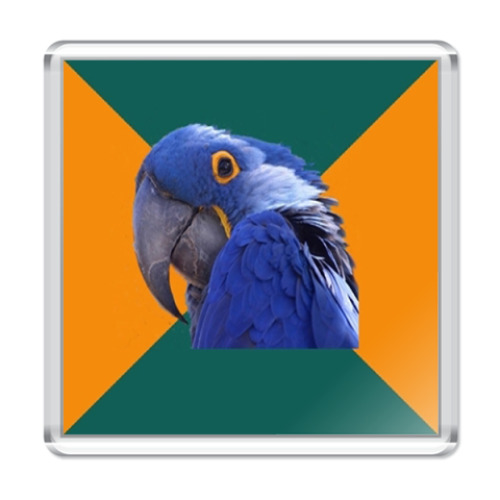 Магнит с принтом  ПОПУГАЙ ПАРАНОИК