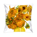 Подсолнухи полигональные