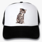 Кепки Trucker