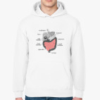 Толстовка худи