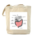 Пищеварительная система