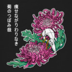 Хризантемы и череп