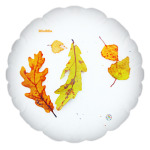 Листва на снегу