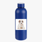 Термобутылка