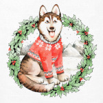 Новогодний Хаски