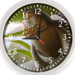 Жабон Жабонович