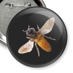 Пчела / Bee