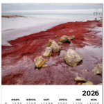 Берег Каспийского моря