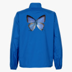 Ветровка без капюшона