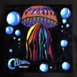 the camusov - медуза