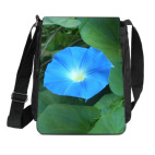 'Синяя звезда'