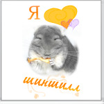Шиншилла