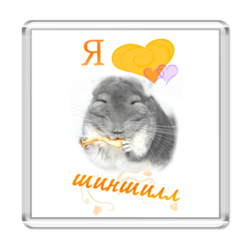 Магнит Шиншилла