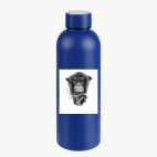 Термобутылка