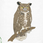 Сова, совушка, мудрые в городе
