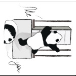 Climbing animals: Panda