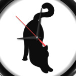 Черная кошка