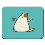  Пятничный Котик №20