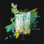 Трава. Зелень. Дорога. Романтика. Лето.