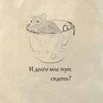 крыса