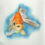 Золотая рыбка