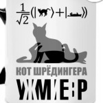 Котэ Шрёдингера