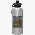 Спортивная бутылка