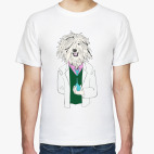 Командор, гастроэнтеролог