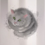 Серый кот, кошка