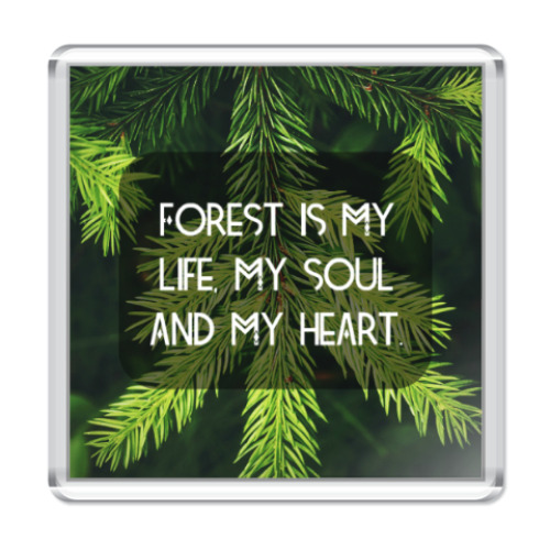 Магнит Мой лес