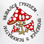 Назвался груздем - проверься..