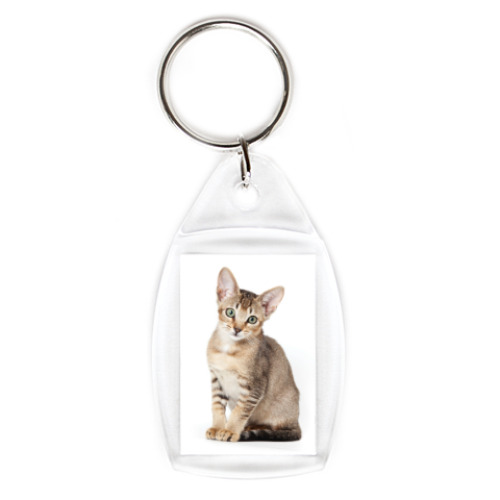 Брелок с принтом Котики-котята