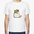 Котаприо — Пятничный Котик №45