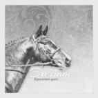 Конный спорт, лошади. Dressage