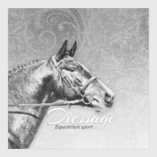 Постер с принтом Конный спорт, лошади. Dressage