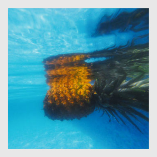 Постер с принтом Ананасы